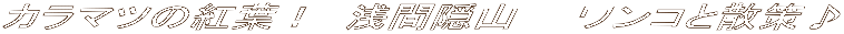 J}c̍gtI@ԉBR@@RƎU